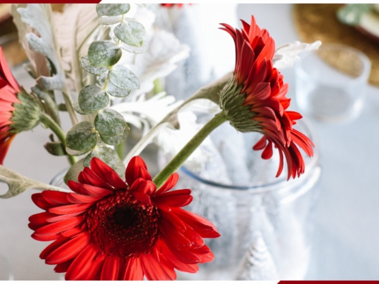 gedeckter Tisch zu Weihnachten mit roten Gerberas mit Frostspray besrprühte Blumengestecke