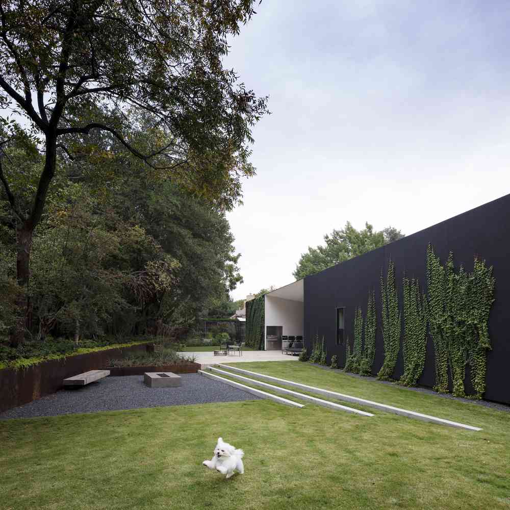 moderne Architektur in den USA Garten mit einheimischen Pflanzen bepflanzen