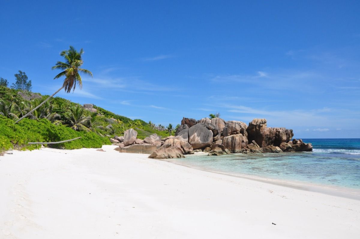 traumhafter strand mit weißem sand und palmen im seychellen urlaub beste reisezeit