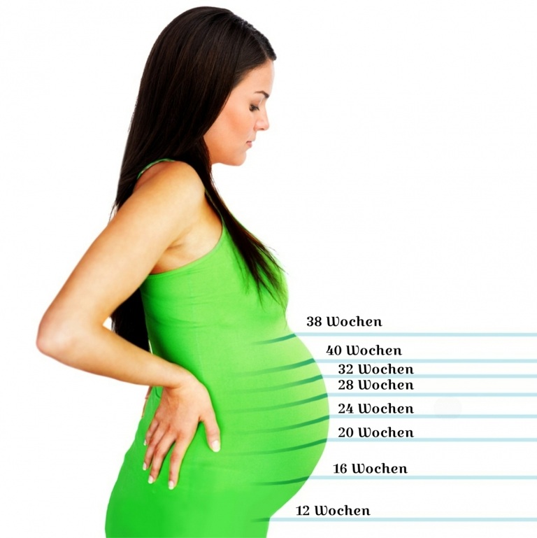 Die Lage des Babys im Bauch je nach Schwangerschaftswoche