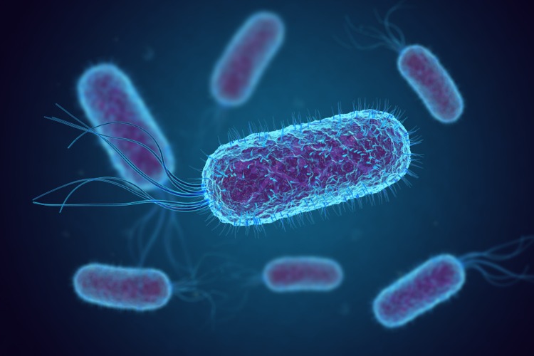 e coli bakterien in laboratorien entwickelt als nachhaltige energiequellen