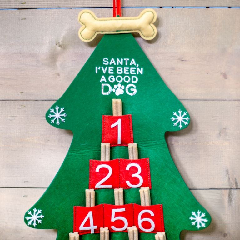 lustige Adventskalender selber basteln Weihnachtsgeshenk für Hund DIY
