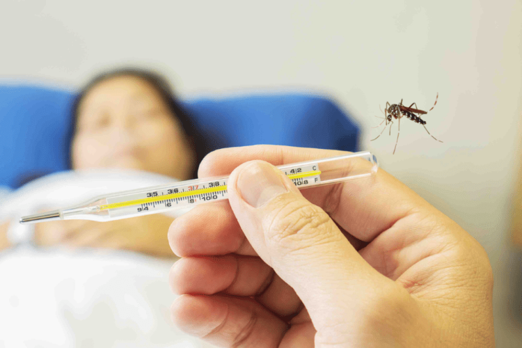 typische symptome vom denguefieber sind hohe körpertemperatur und schwäche