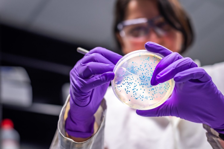 wissenschatler entwickeln kolibakterien im labor zum verbrauch von co2