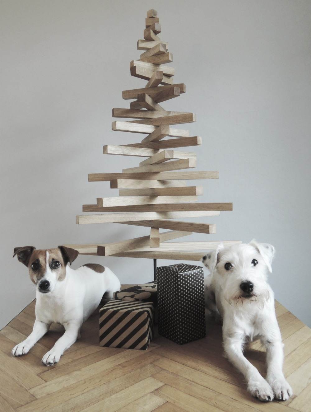 zwei kleine hunde sitzen neben tannenbaum aus naturholz im minimalistischen stil