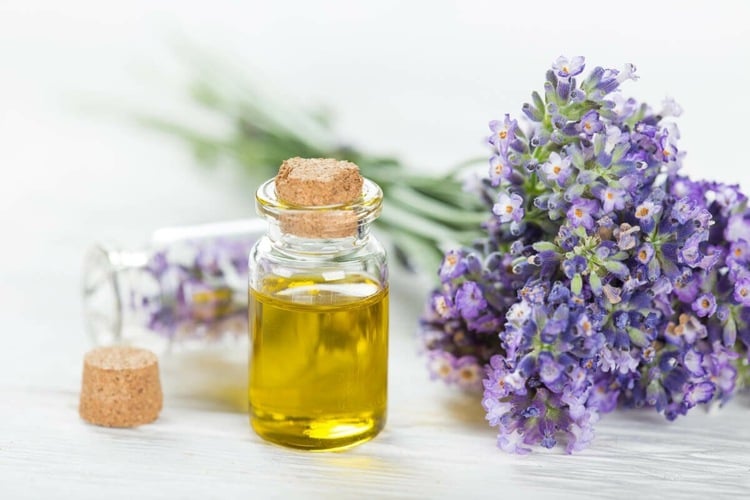 Aromatherapie für besseren schlaf Lavendelöl Diffuser
