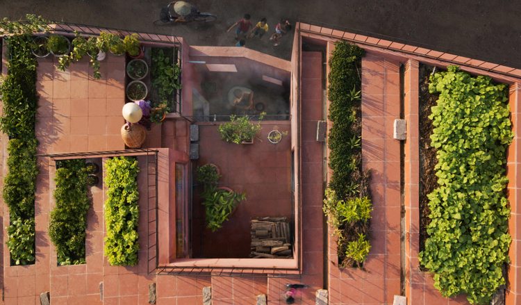 Dachterrasse anlegen und Gemüse pflanzen Kübelgarten und Gartenbeete kombinieren