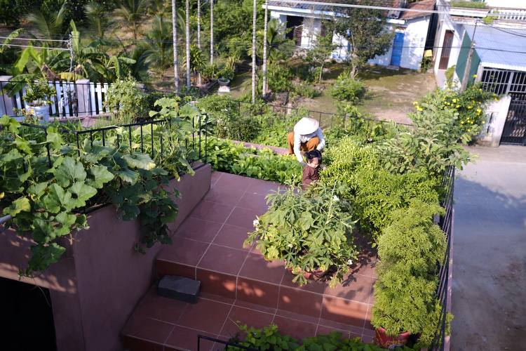 Dachterrasse bepflanzen Gemüsegarten anlegen und Gärtnern Idee für Stadtvillen ohne Garten