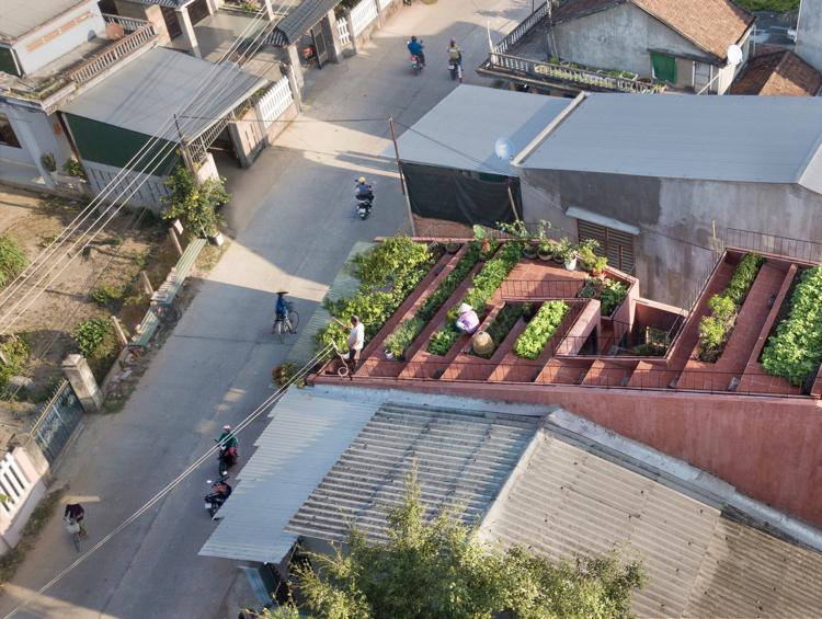 Dachterrasse bepflanzen Nutzgarten am Dach anlegen platzsparende Idee für Stadtvilla oder Familienhaus auf schmalem Grundstück