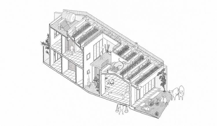 Einfamilienhaus mit Dachterrasse und Balkon Bauplan Seitenansicht