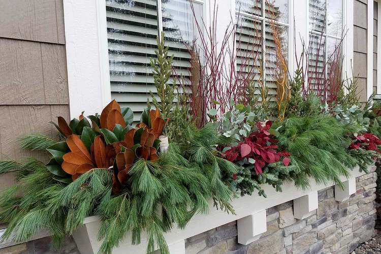 Winterdeko für Balkon frische Blumen und Pflanzen im Blumenkasten kombinieren