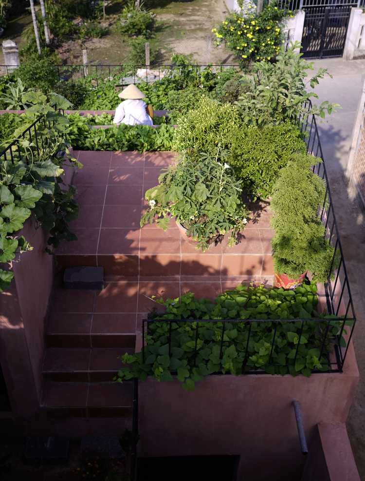 Gemüse und Kräutergarten am Dach anlegen Ideen für umweltfreundliche Terrassengestaltung