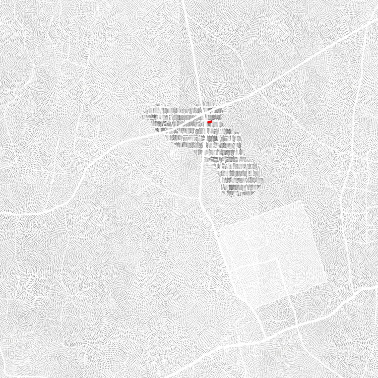 Dachterrasse bepflanzen