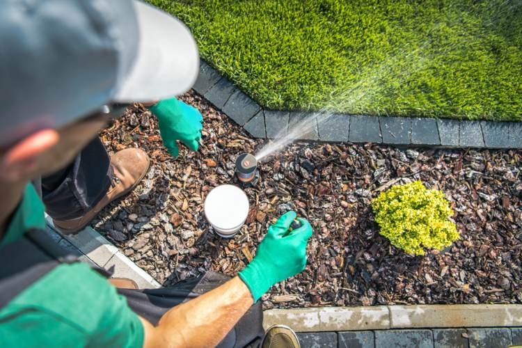 Hauswasserwerk für Gartenbewässerung installieren Gartensprinkler