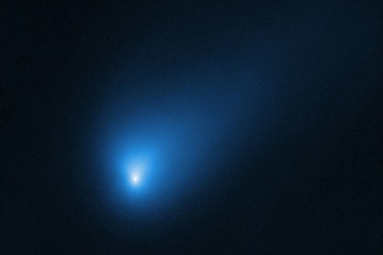 komet 2i borisov aufnahme welraumteleskop hubble
