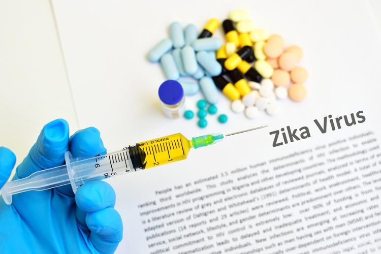 neuartiger impfstoff gegen zika virus entwickelt