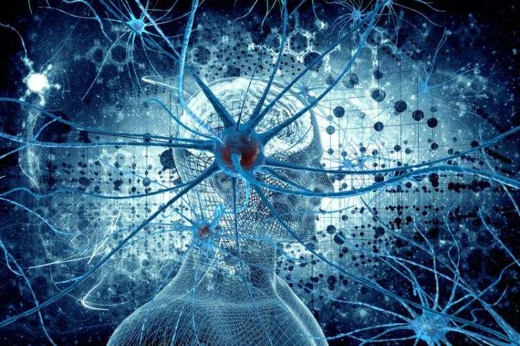 neuronale netze im menschlichen gehirn und körper ersetzt durch künstliche neuronen