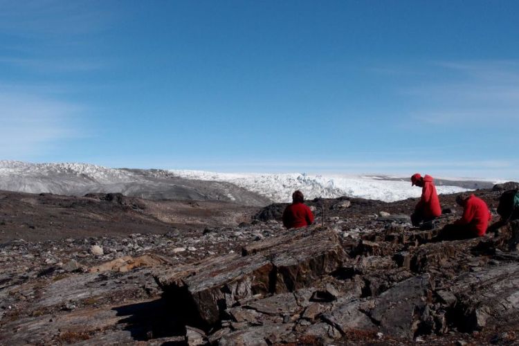wissenschaftler und paläontologen untersuchen grönländische gesteine auf antarktis