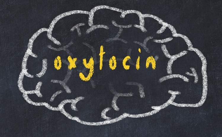 Beim Kuscheln produziert das Gehirn das beruhigende Oxytocin, das Stresshormone abbaut