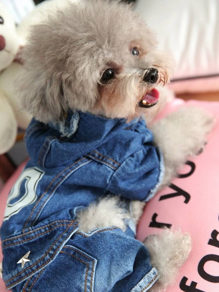 Haustiermode Jeansjacke für Hunde