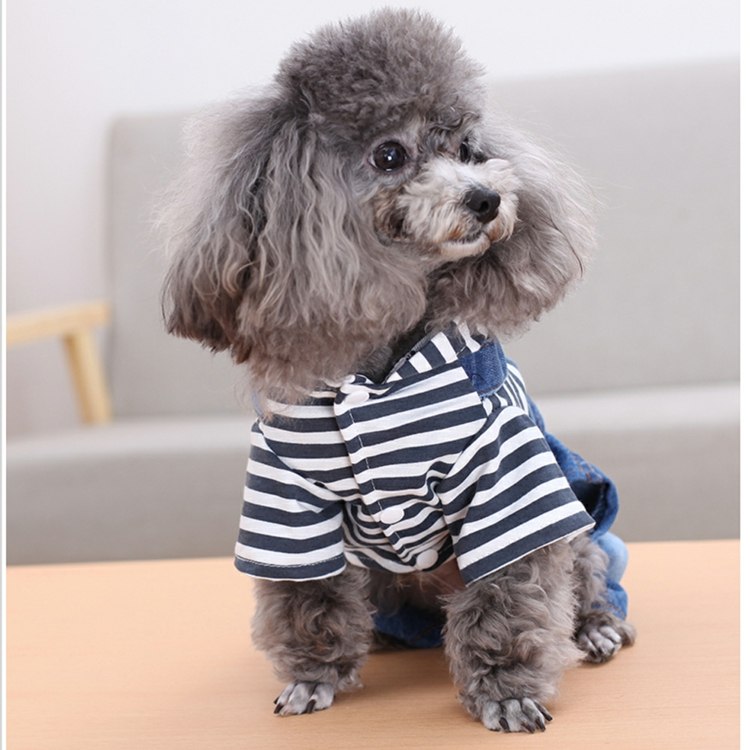 Jeansjacke für Hunde Haustier Mode Hundebekleidung sinnvoll