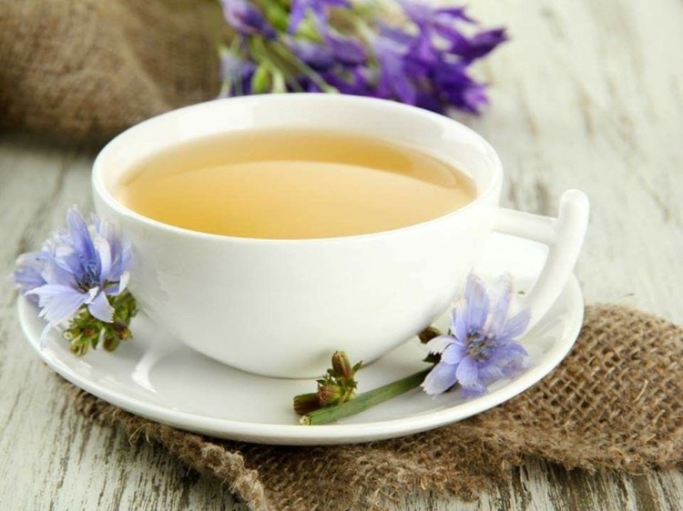 Vorteile der Zichorienwurzel Wirkung von Wegwarte Tee