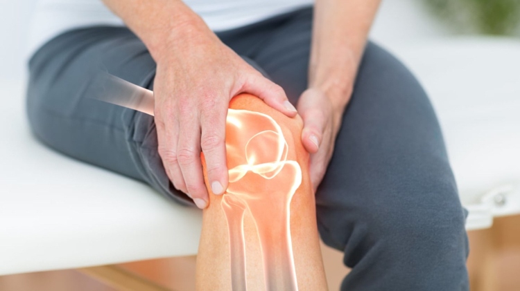 Vorteile der Zichorienwurzel bei Arthritis neue Studie Ergebnisse