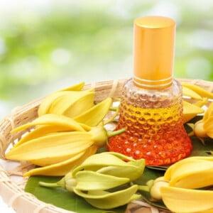 Ylang Ylang Öl