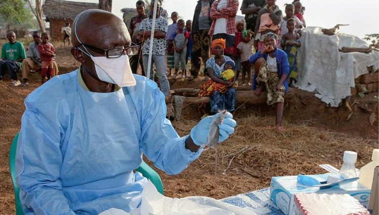 arzt mit schutzmasek hält infizierte ratte in nigeria