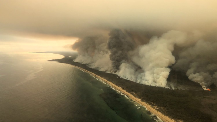 buschfeuer australien rauchwolke küste naturkatastrophe opfer tiere menschen