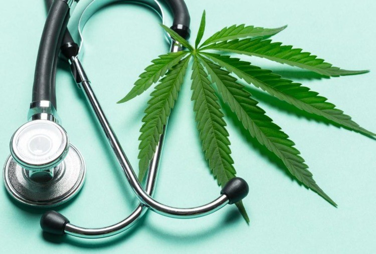 stethoskop abhörgerät mit einem blatt marihuanna
