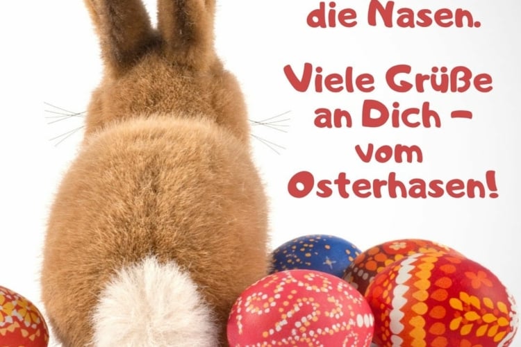 Die Schönsten Ostergrüße, Zitate & Sprüche - 40 Ideen Mit Bilder