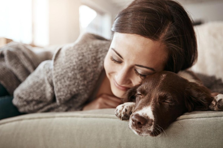 Hund und Besitzer schlafen zusammen Tipps