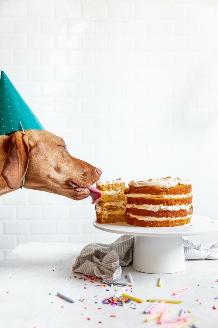 Hundekuchen Rezept mit Fleisch Hunde Leckerlis selber machen