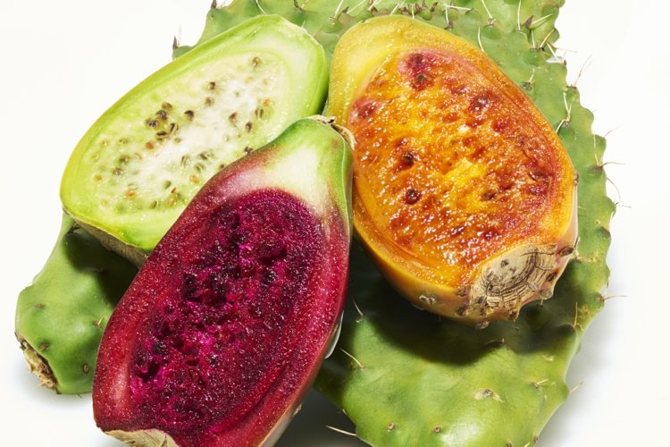 Kaktusfeige Nährwerte Obst Kalorien Abnehmen