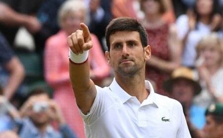 Novak Djokovic vegane Sportler pflanzliche Ernährung Vorteile Gesundheit