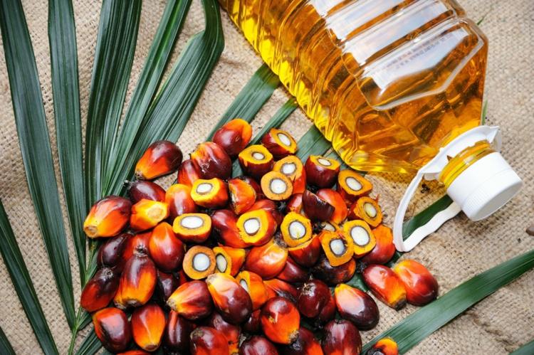Palmöl ungesund oder nicht - Wofür es verwendet wird und Auswirkungen auf die Gesundheit