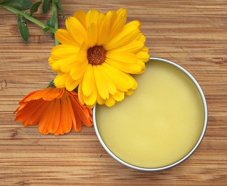 Marigold ointment - effects, uses and recipes