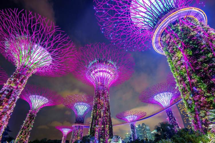 Umweltfreundliche Städte Singapur grüne Stadt nachhaltig Urlaub machen