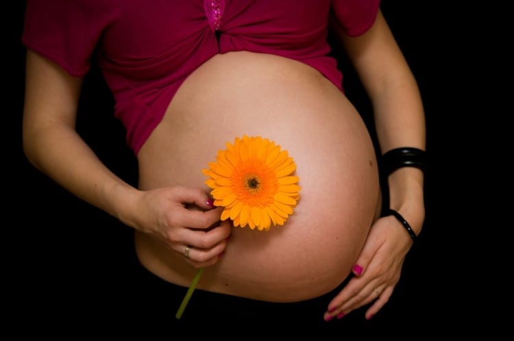 Während der Schwangerschaft lindert die Calendulasalbe Dehnungsstreifen