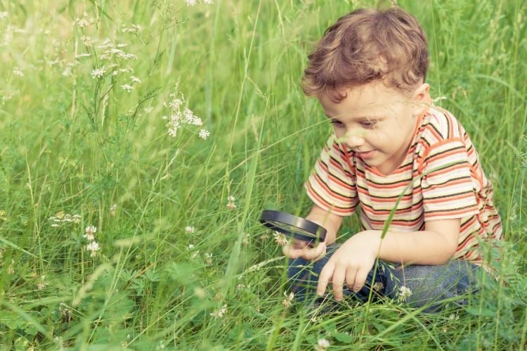 glückliches kind erforscht gras mit vergrößerungsglas