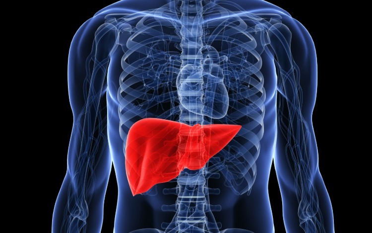 vergrößerte leber ursachen hepatomelagamie symptome