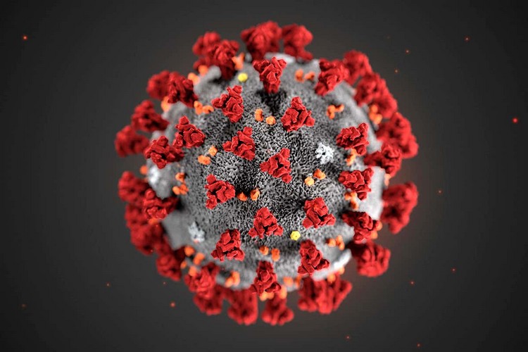 Coronavirus Ansteckung Tipps zur Vorbeugung und Immunsystem stärken