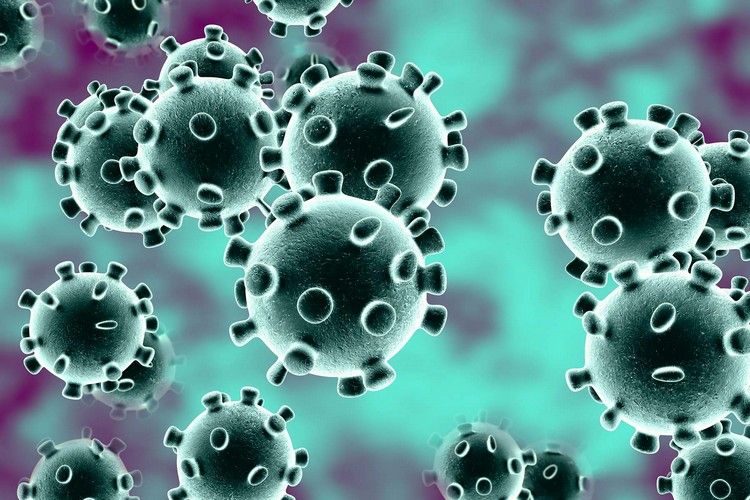 Coronavirus Ansteckung wie wir uns schützen können