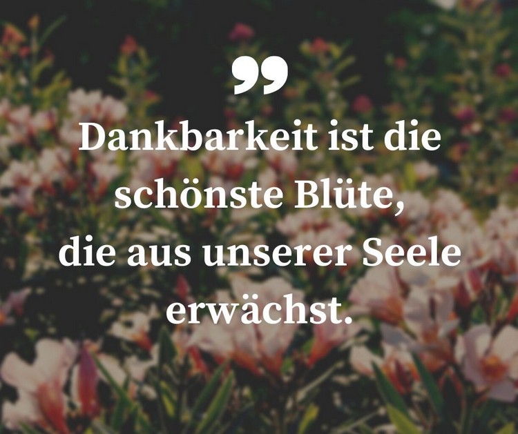 Dankbar sein: Sprüche und Zitate auf Bilder, die Kraft geben