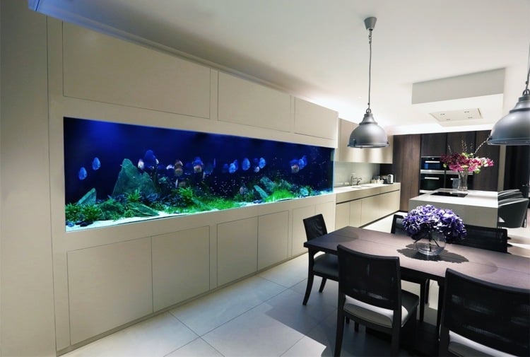 Dining room furnishings modern aquarium in the wall