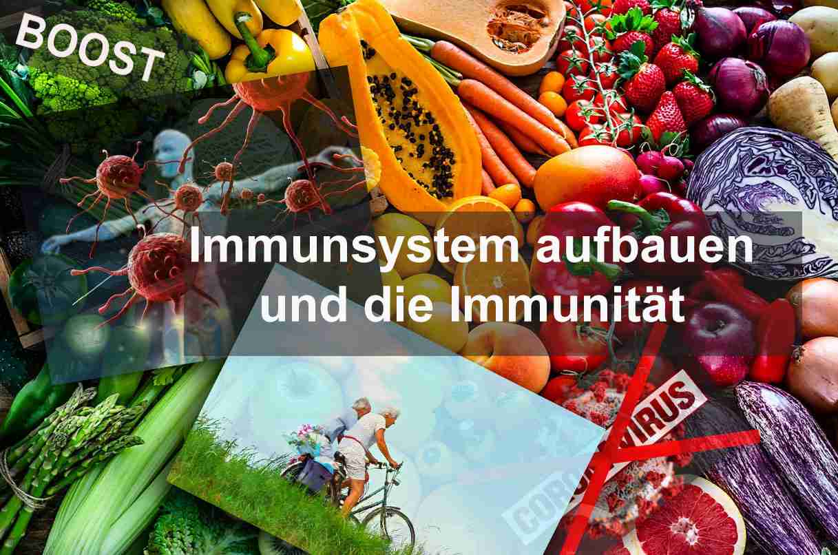 Immunsystem aufbauen und die Immunität Definition verstehen - Ein Überblick