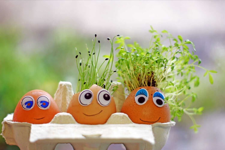 Osterbasteln mit Kindern Idee für Eierschalen bepflanzen