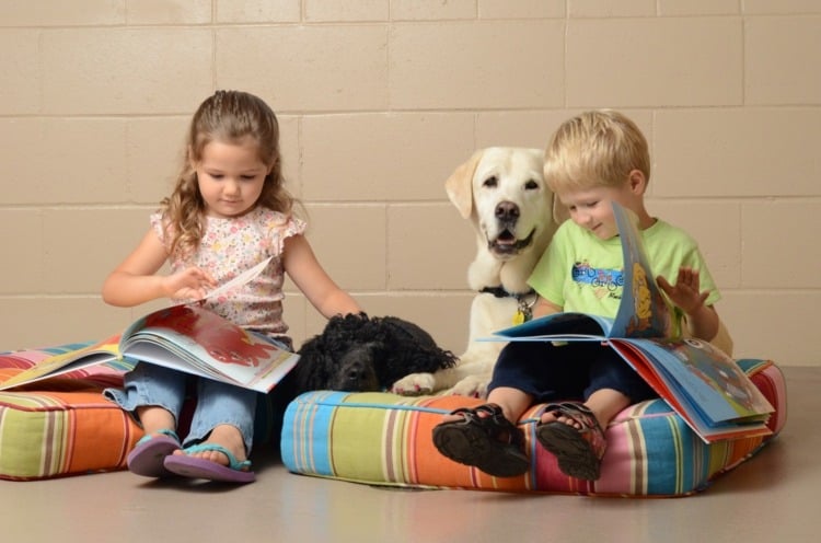 Therapie Hund bei Kindern welche Hunderassen Hundetherapie