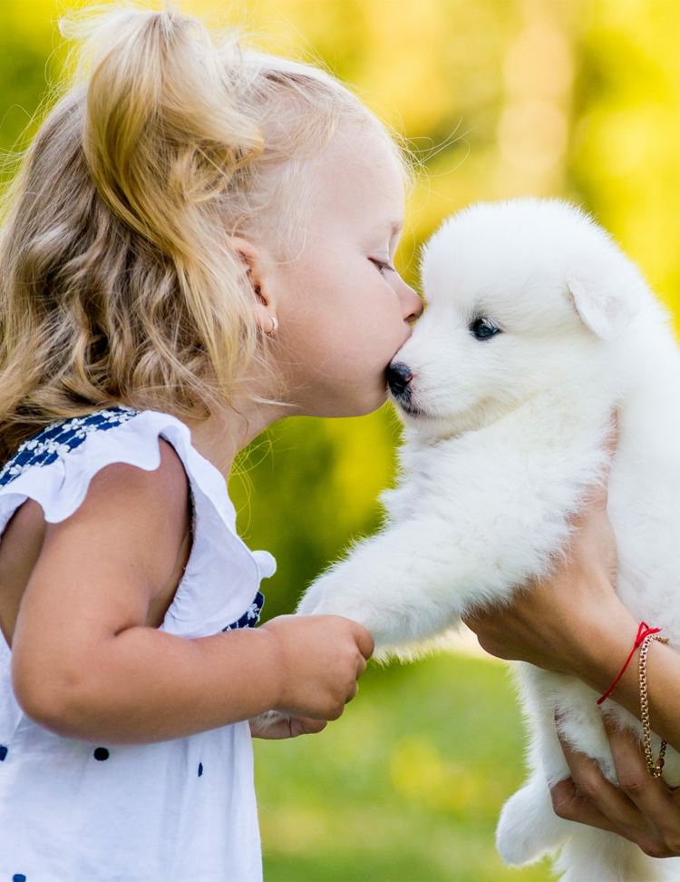 Therapiehund Ausbildung Kosten Therapie Hund bei Kindern